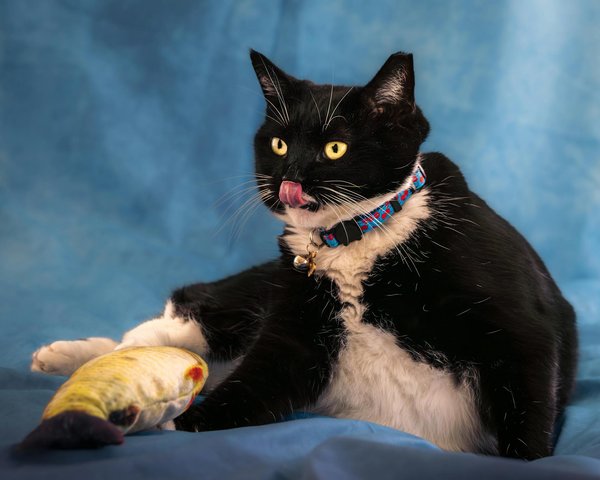 How do inflation trends impact real estate investment in the UK?